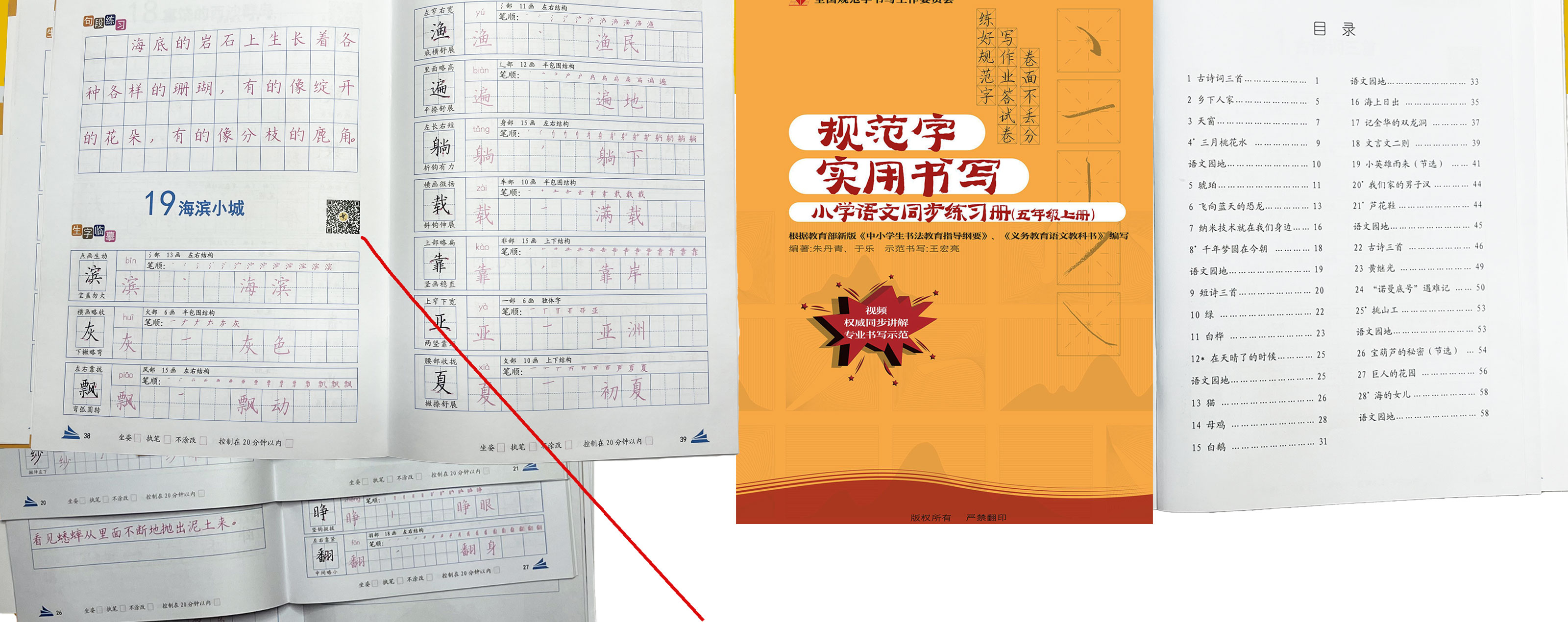 教材规范字3.4_03.jpg